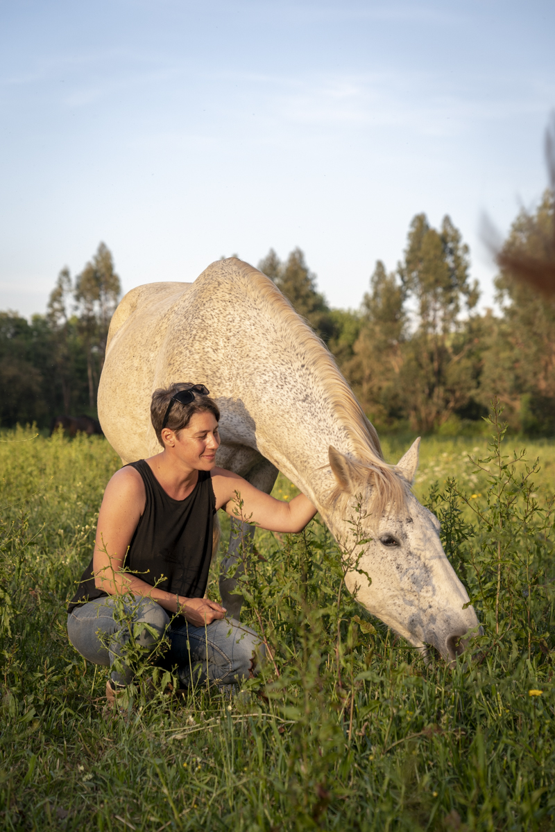 Listening and being heard: A dialog with horses